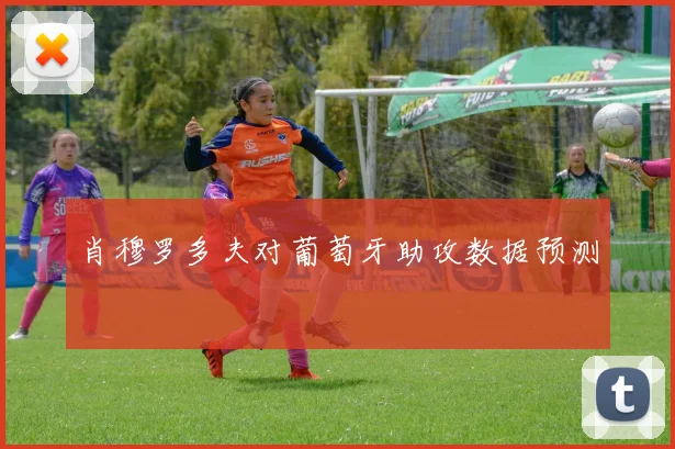 肖穆罗多夫对葡萄牙助攻数据预测
