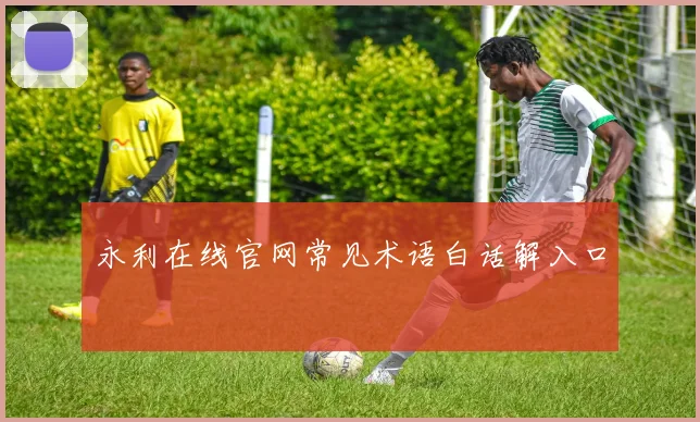 永利在线官网常见术语白话解入口