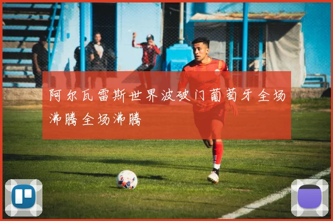 阿尔瓦雷斯世界波破门葡萄牙全场沸腾全场沸腾