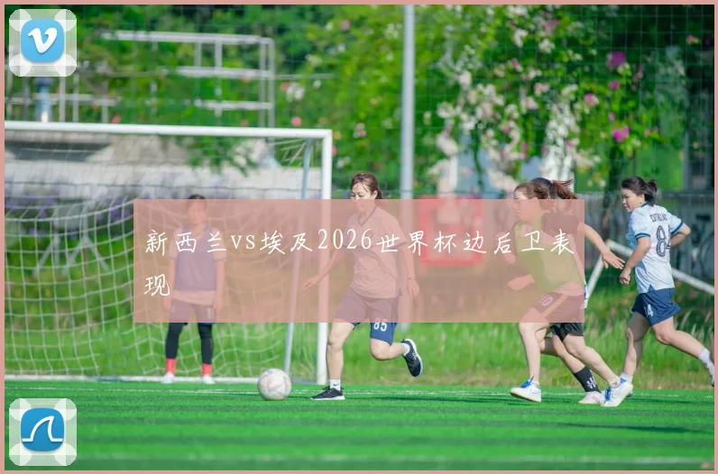 新西兰vs埃及2026世界杯边后卫表现