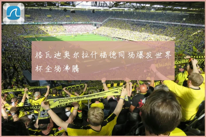 格瓦迪奥尔拉什福德同场爆发世界杯全场沸腾