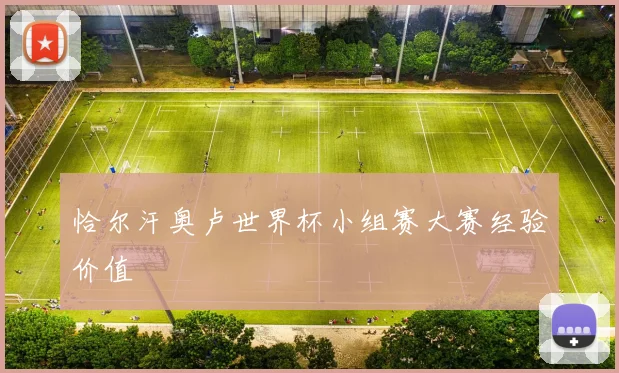 恰尔汗奥卢世界杯小组赛大赛经验价值